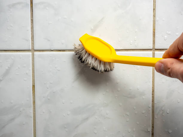 Best Mold Damage Repair  in Roselawn, IN