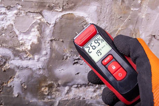 Best Emergency Mold Removal  in Roselawn, IN